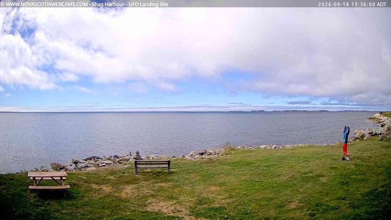 Shag Harbour