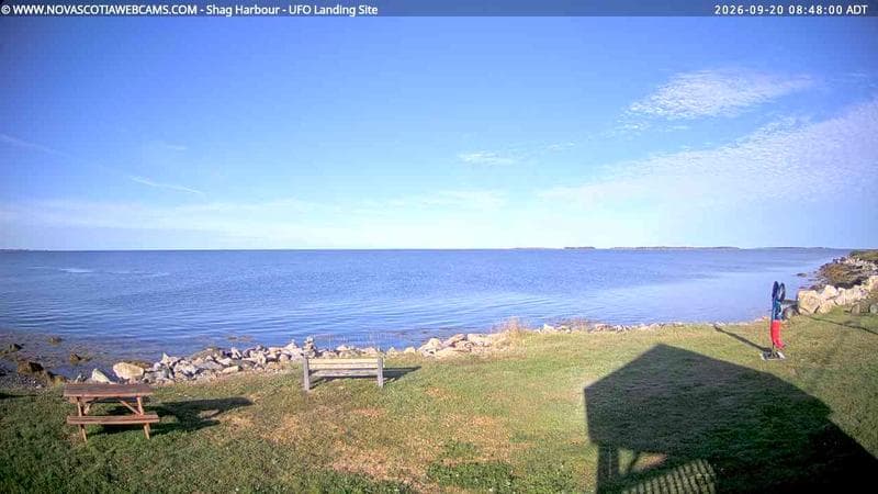 Shag Harbour