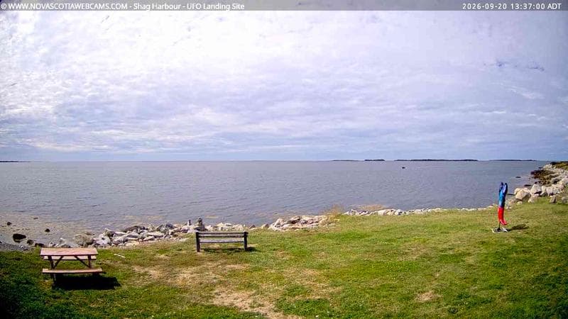 Shag Harbour