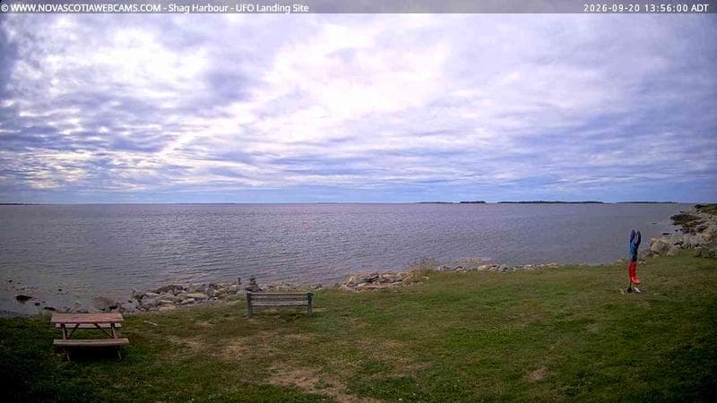 Shag Harbour