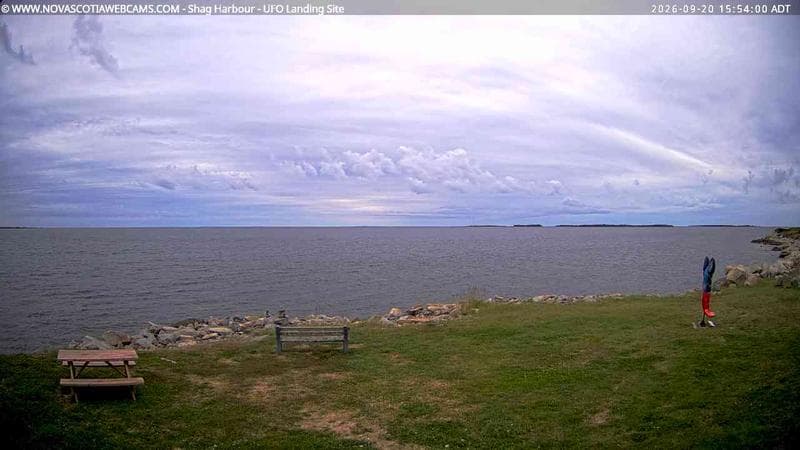 Shag Harbour