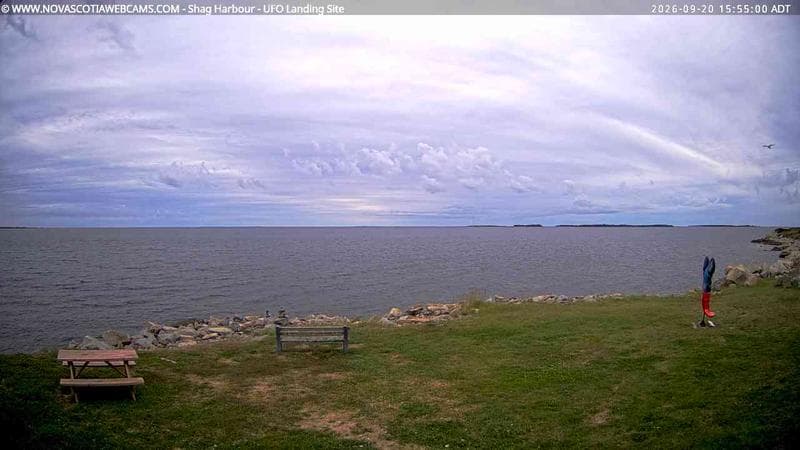 Shag Harbour