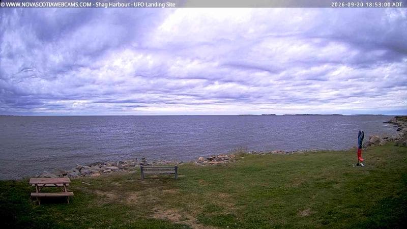Shag Harbour