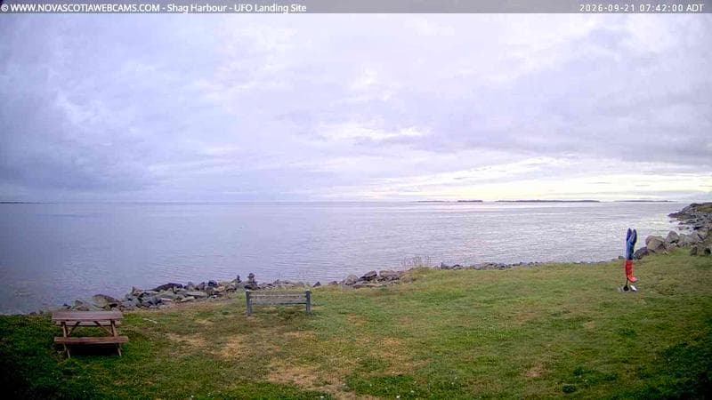 Shag Harbour