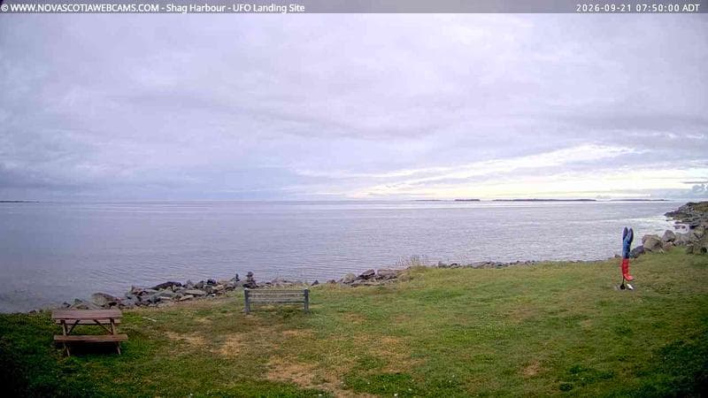 Shag Harbour