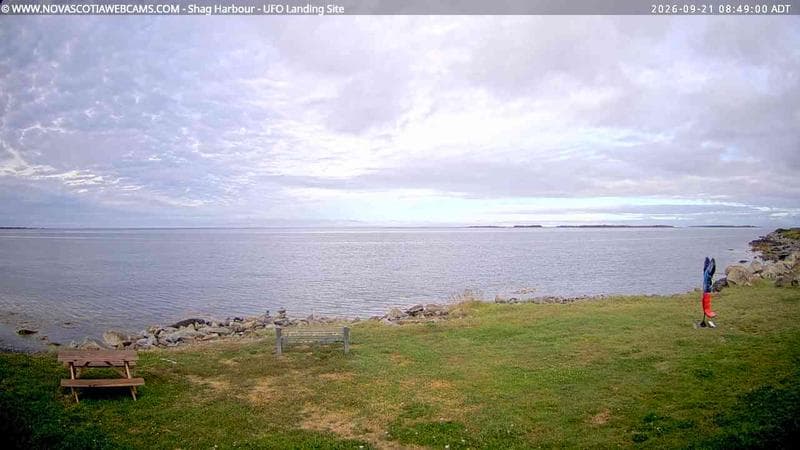 Shag Harbour