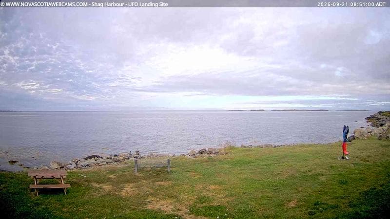 Shag Harbour
