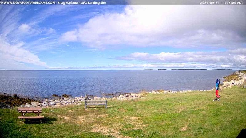 Shag Harbour