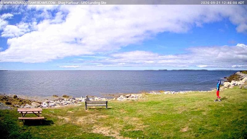 Shag Harbour