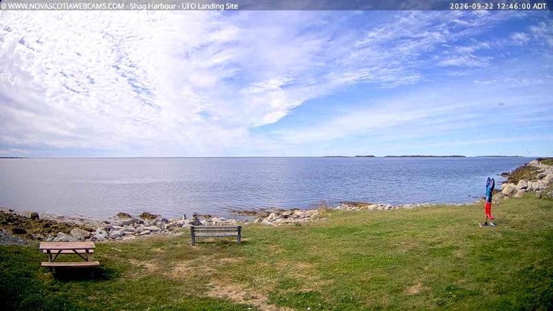 Shag Harbour