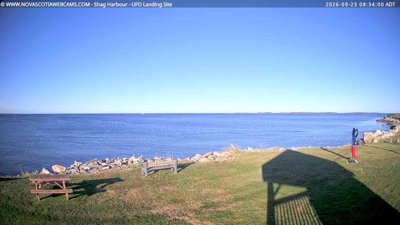 Shag Harbour