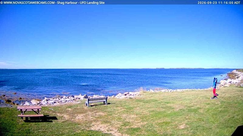 Shag Harbour
