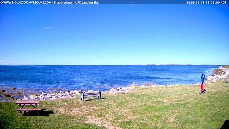 Shag Harbour