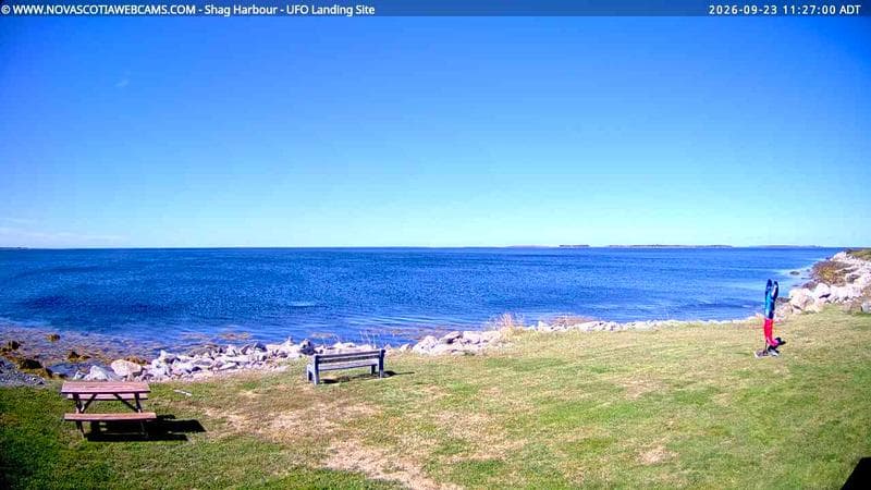 Shag Harbour