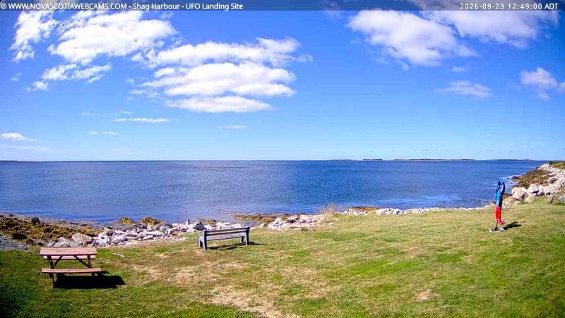Shag Harbour