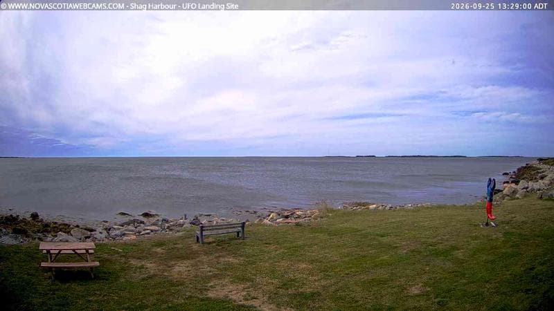 Shag Harbour