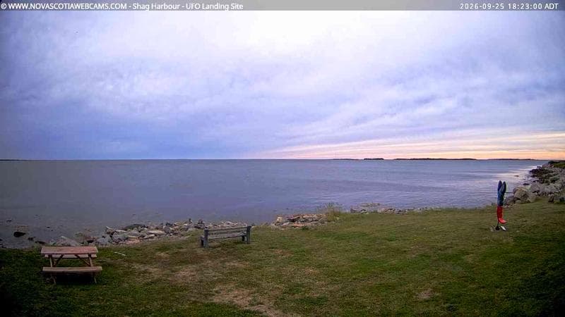 Shag Harbour