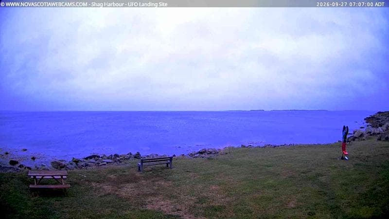 Shag Harbour