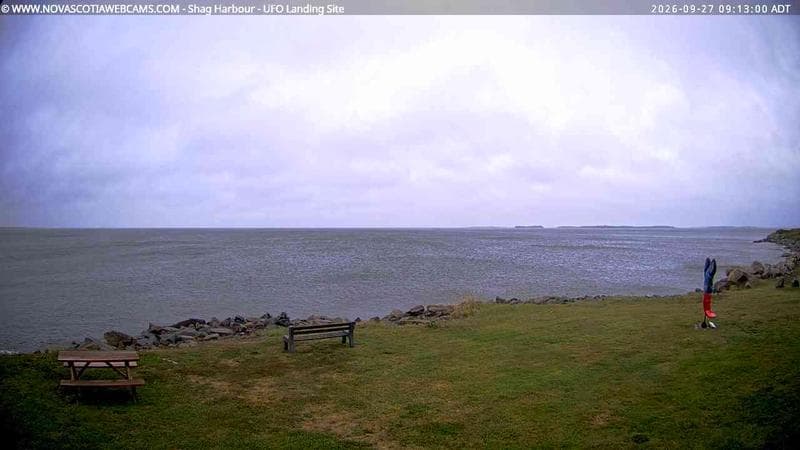 Shag Harbour