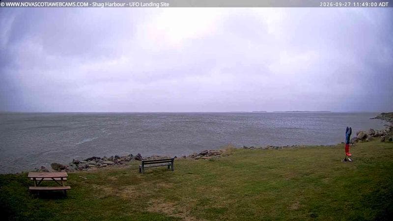 Shag Harbour