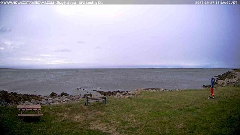 Shag Harbour