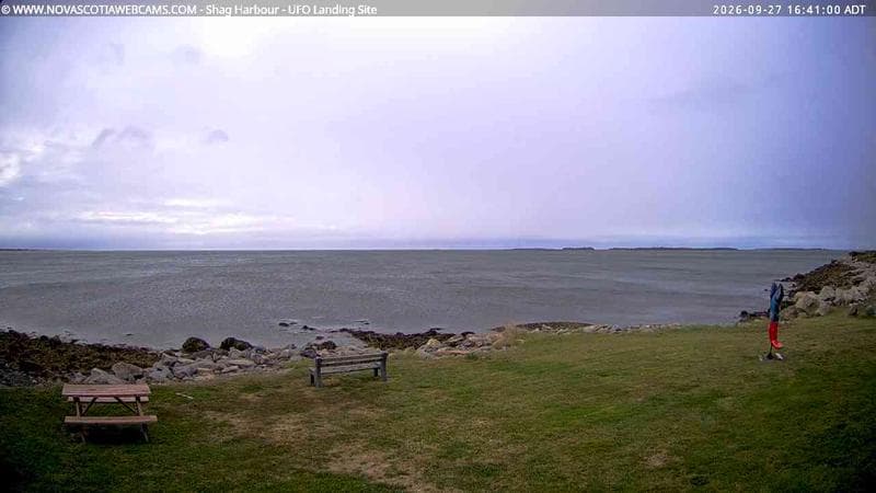 Shag Harbour