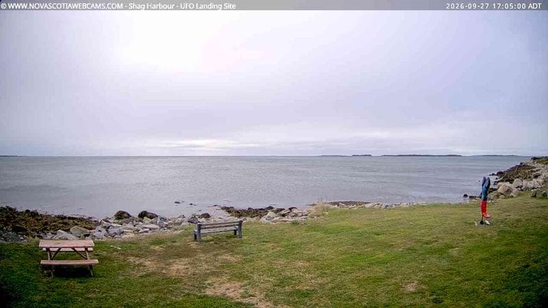 Shag Harbour