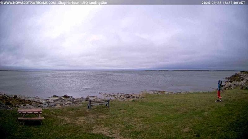 Shag Harbour