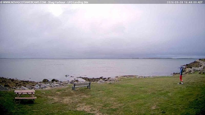 Shag Harbour