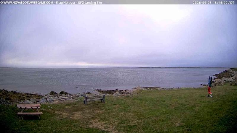 Shag Harbour