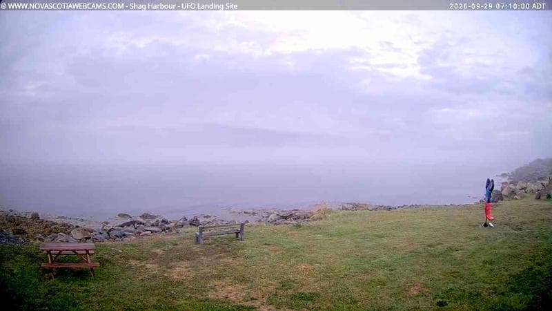 Shag Harbour