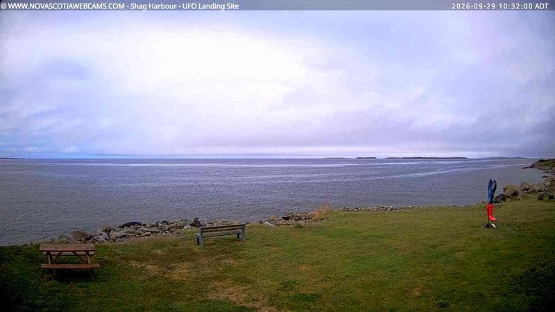 Shag Harbour