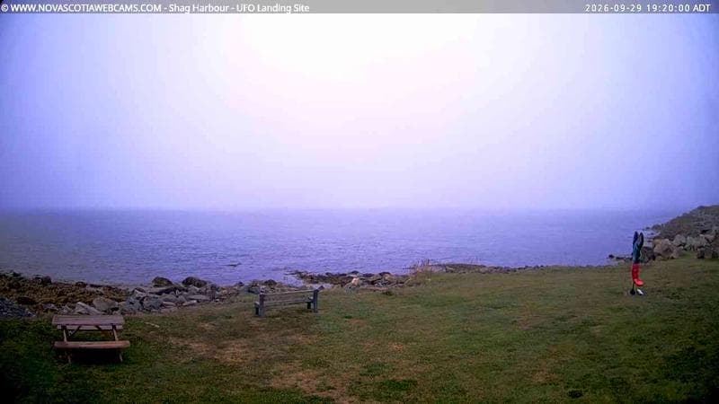 Shag Harbour