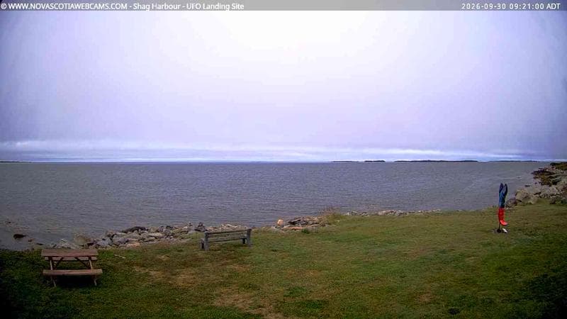 Shag Harbour
