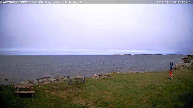 Shag Harbour