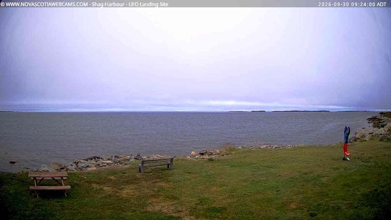 Shag Harbour