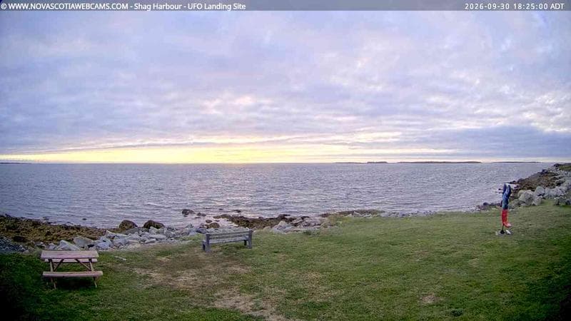 Shag Harbour