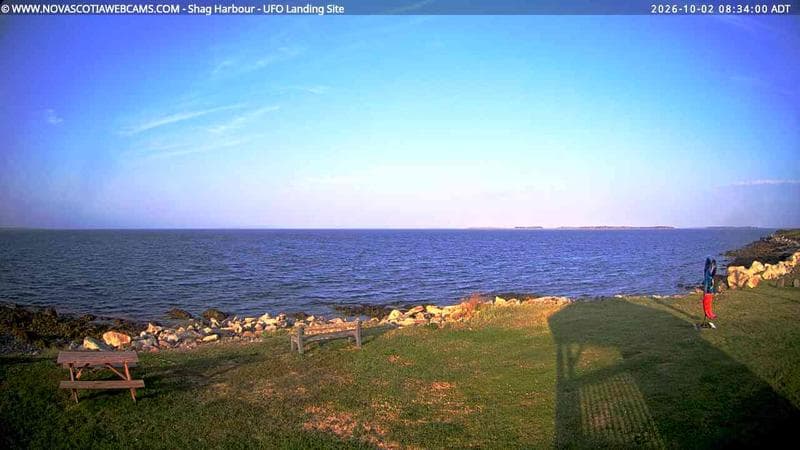 Shag Harbour
