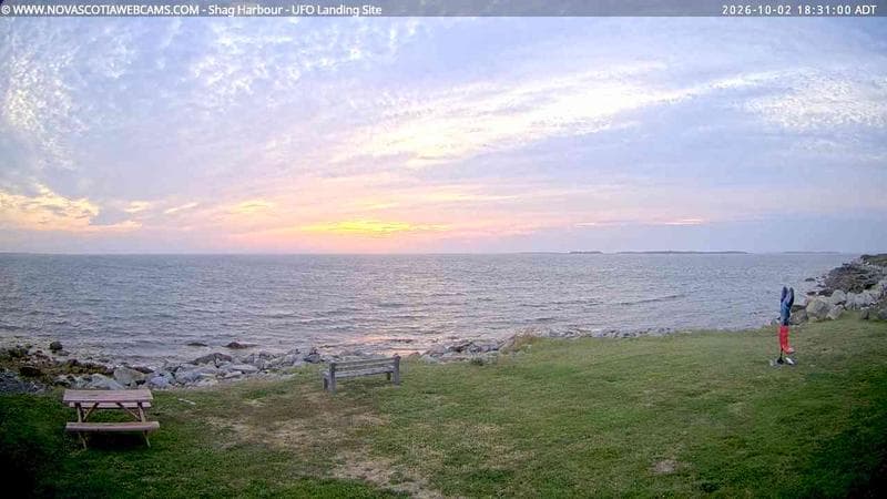 Shag Harbour