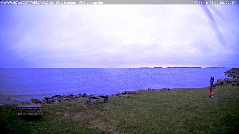 Shag Harbour