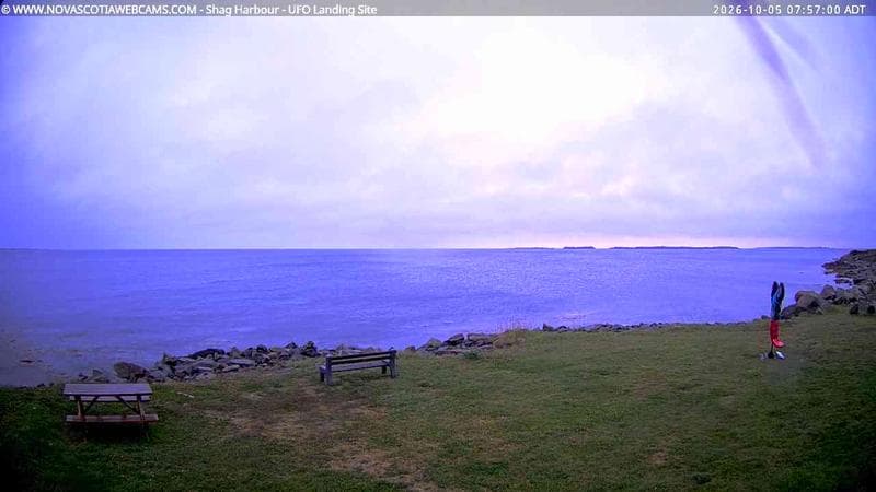 Shag Harbour