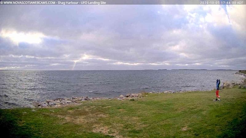 Shag Harbour