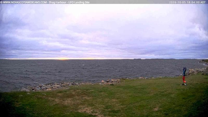 Shag Harbour