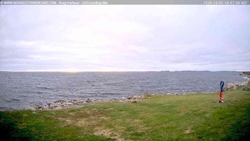 Shag Harbour