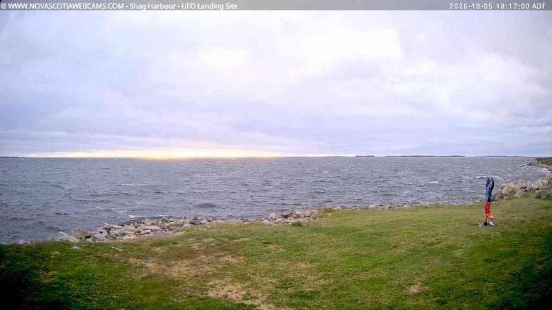Shag Harbour