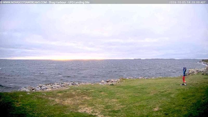 Shag Harbour