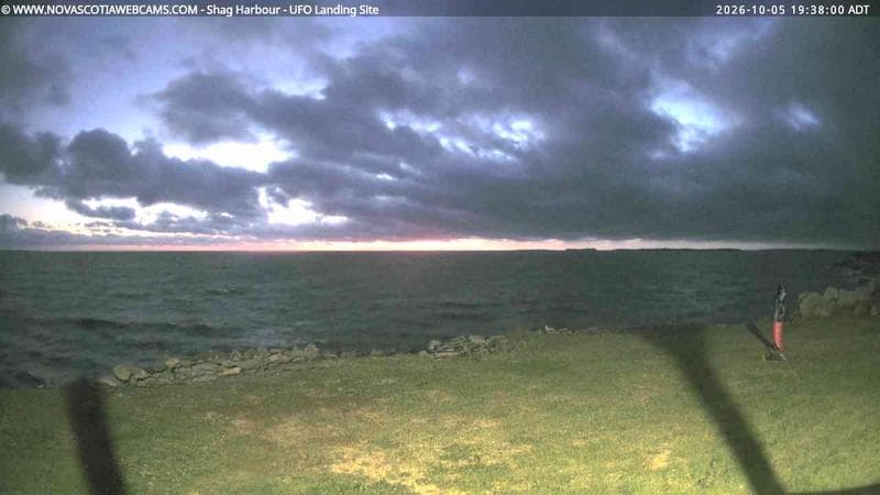 Shag Harbour