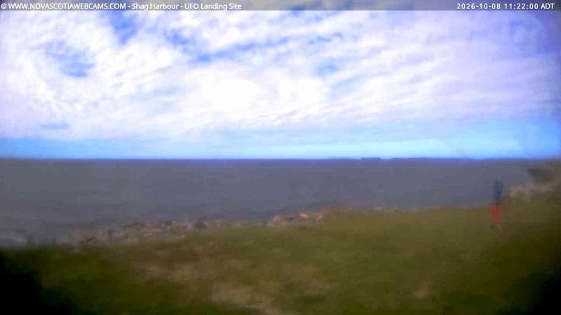 Shag Harbour