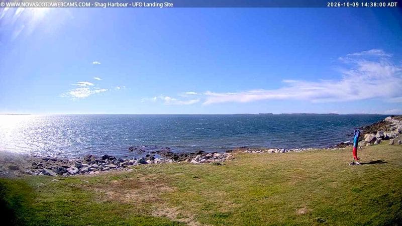 Shag Harbour