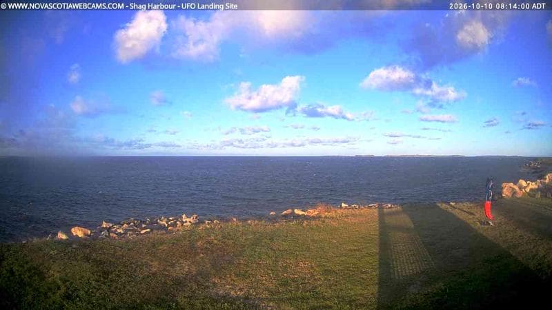 Shag Harbour